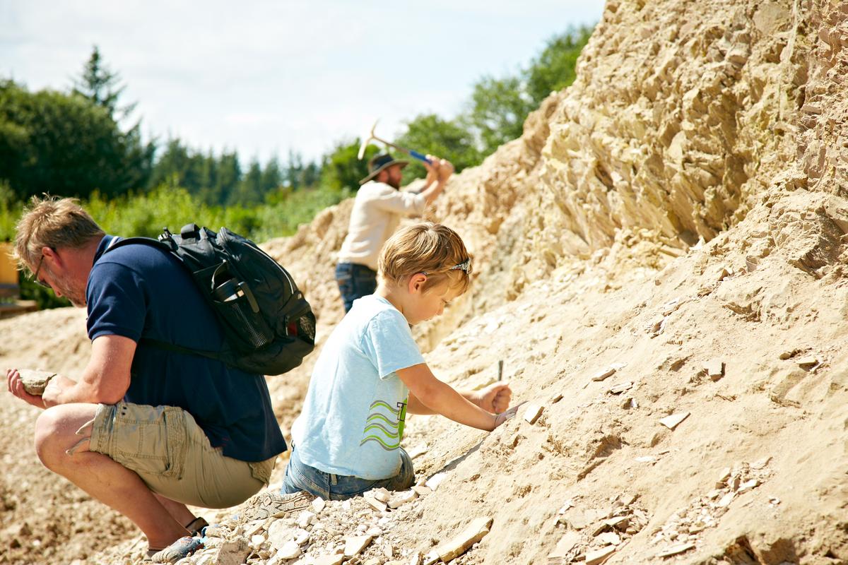 Fossiljagt