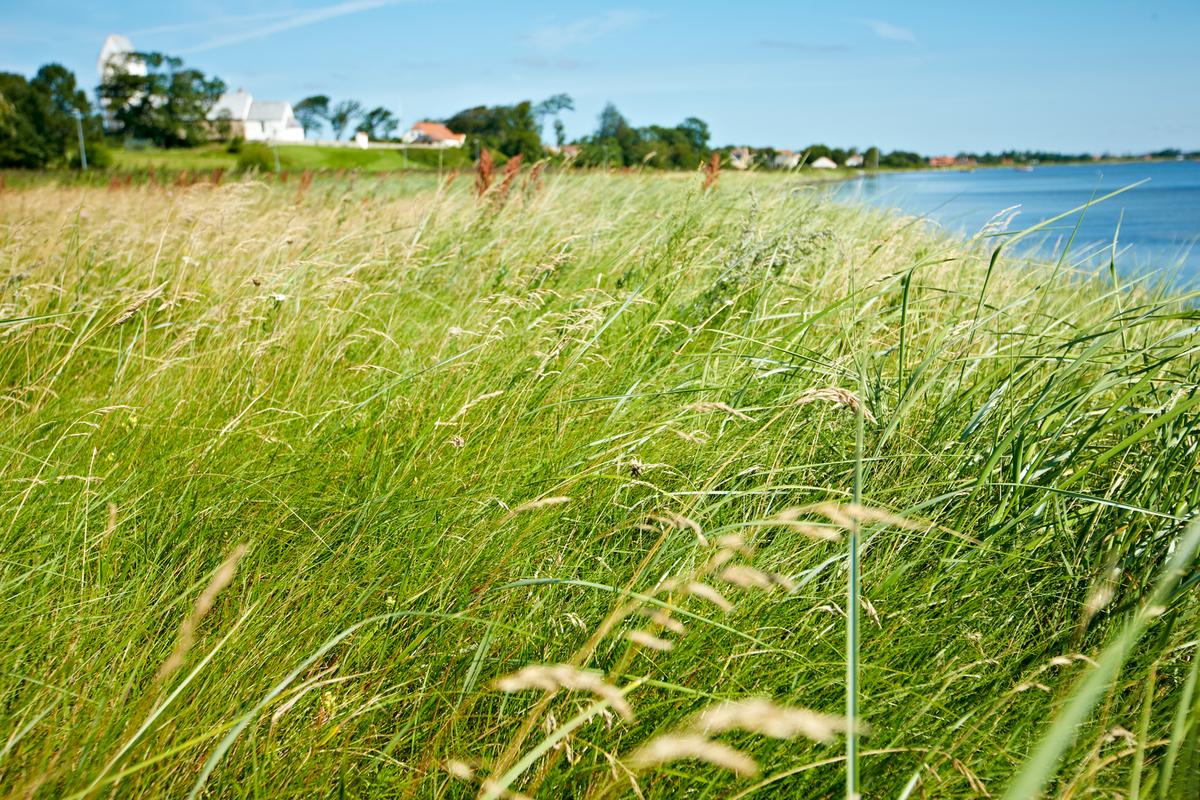 Fur Natur