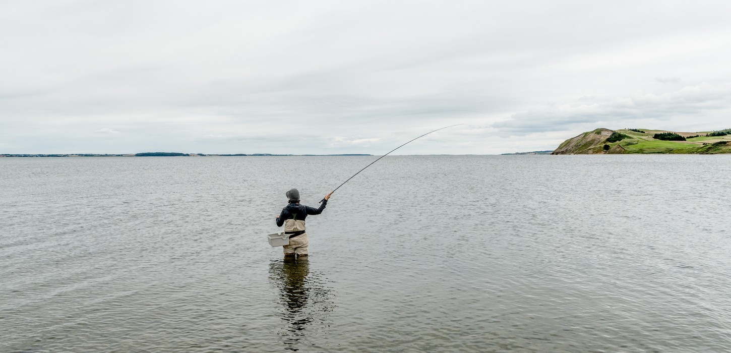 Limfjorden, Fiskeri