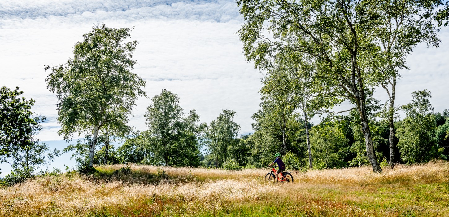 Dreng på cykel i naturen på Mors