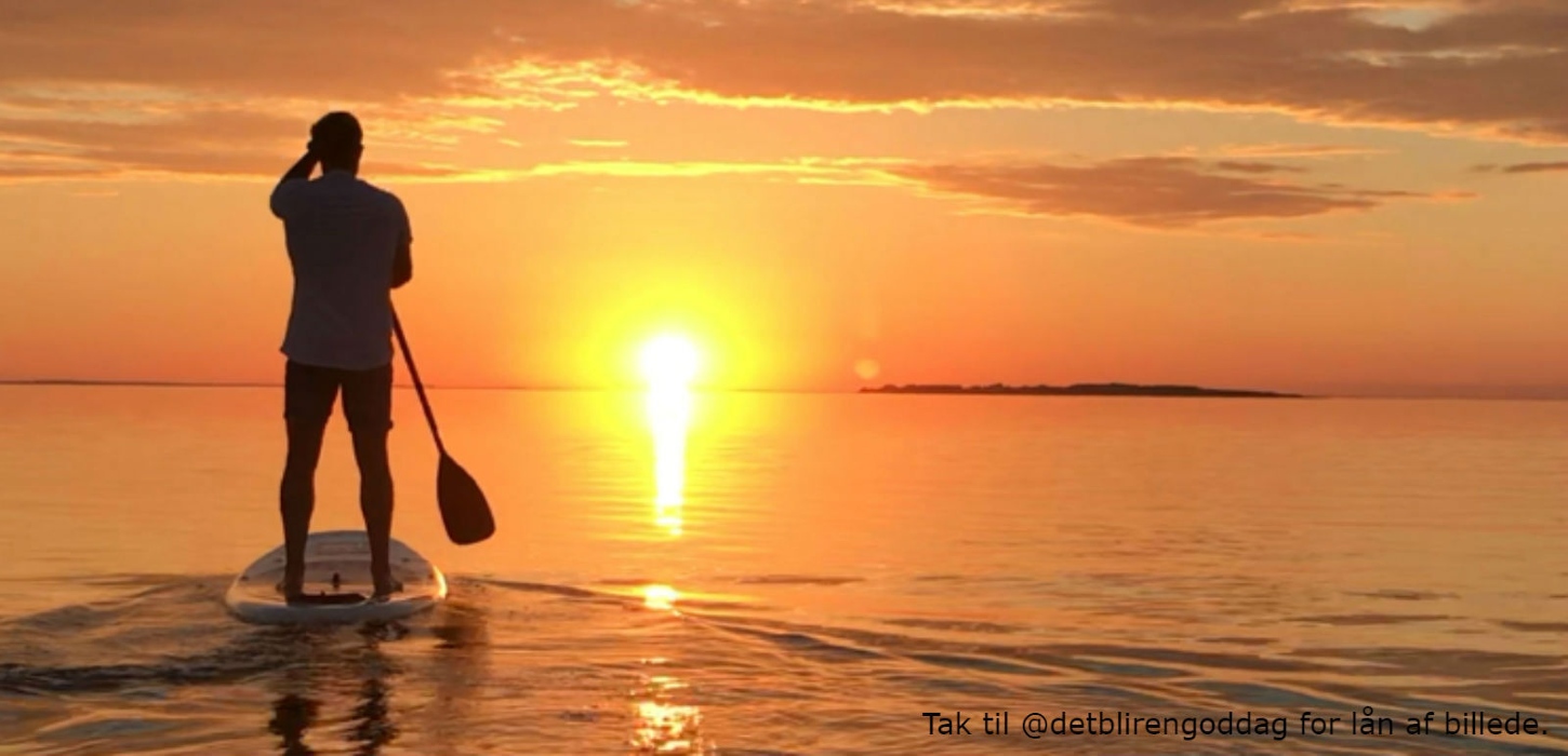 SUP på Limfjorden