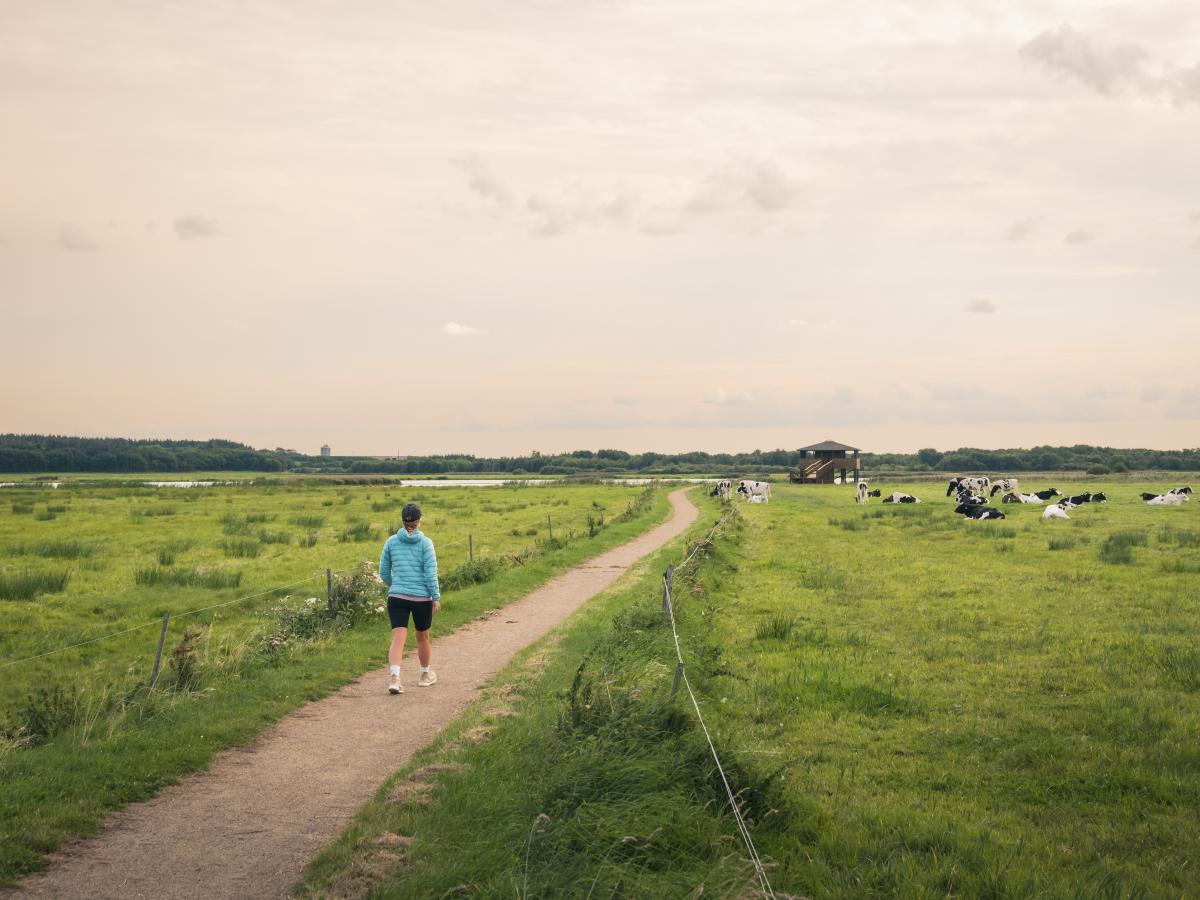 Vilsted Sø, Himmerland
