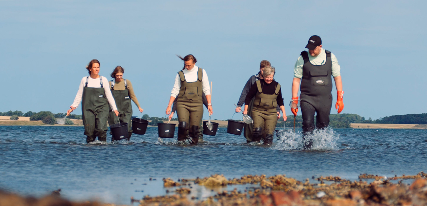 Østerssafari, gastronomi
