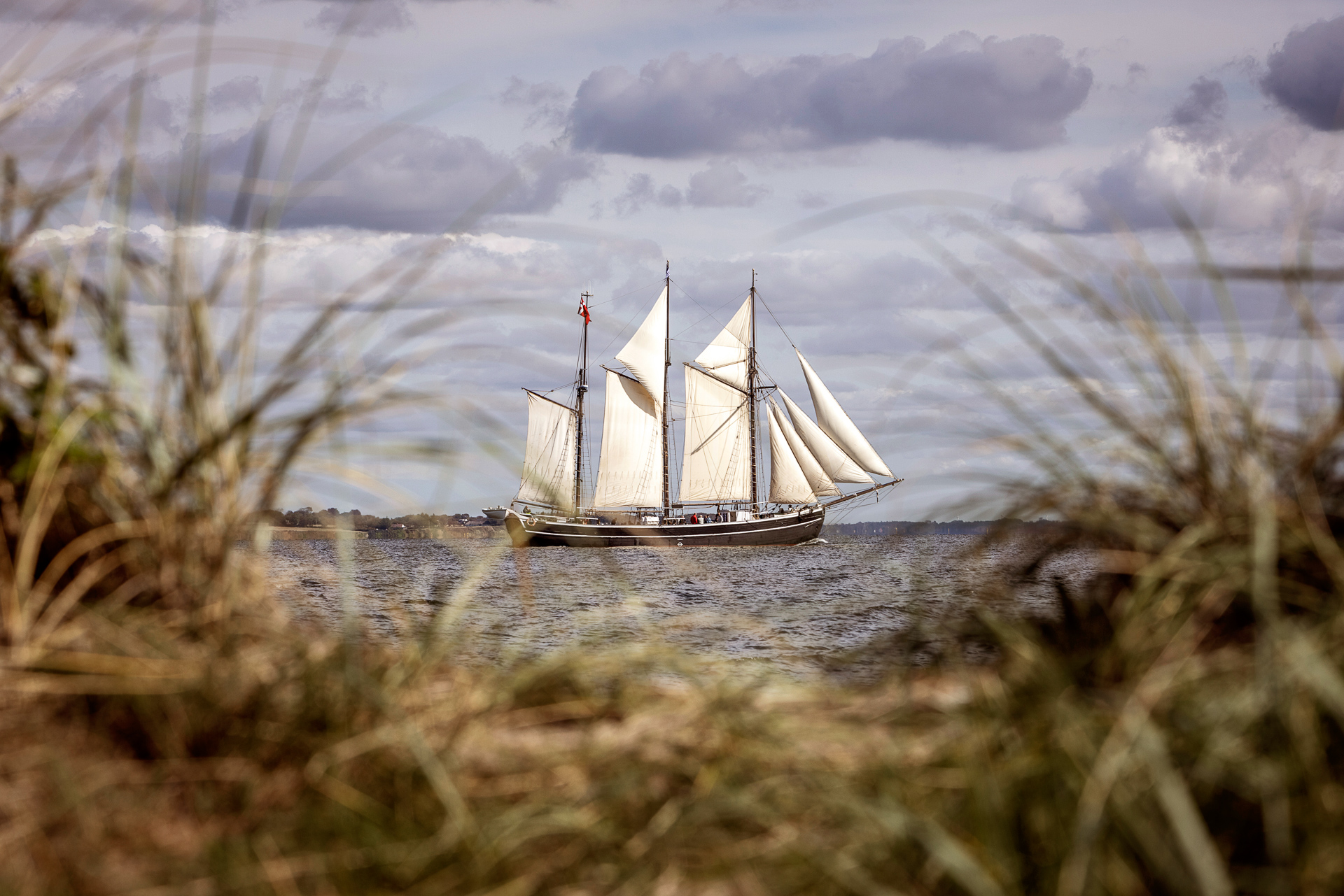 Sejlbåd på Limfjorden
