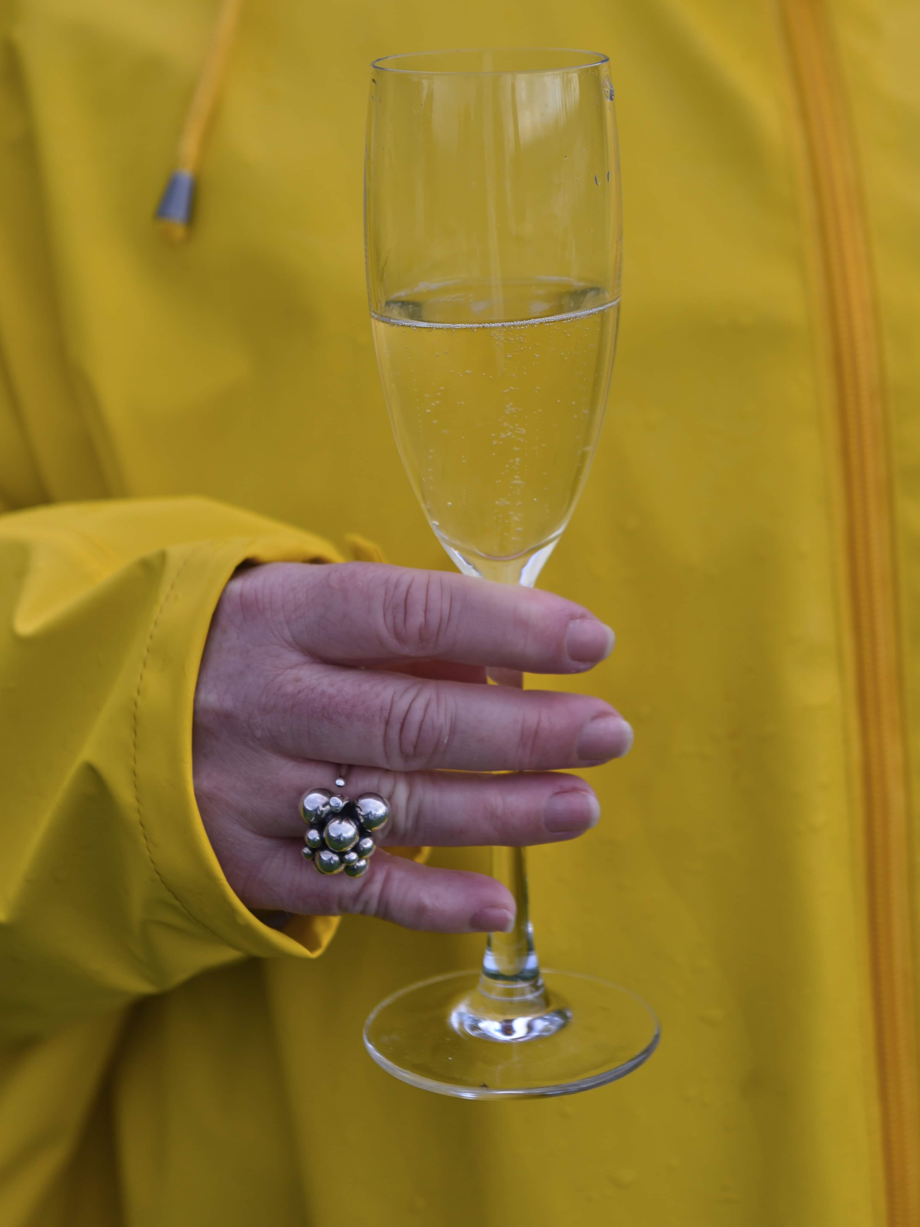 Champagne ved Limfjorden