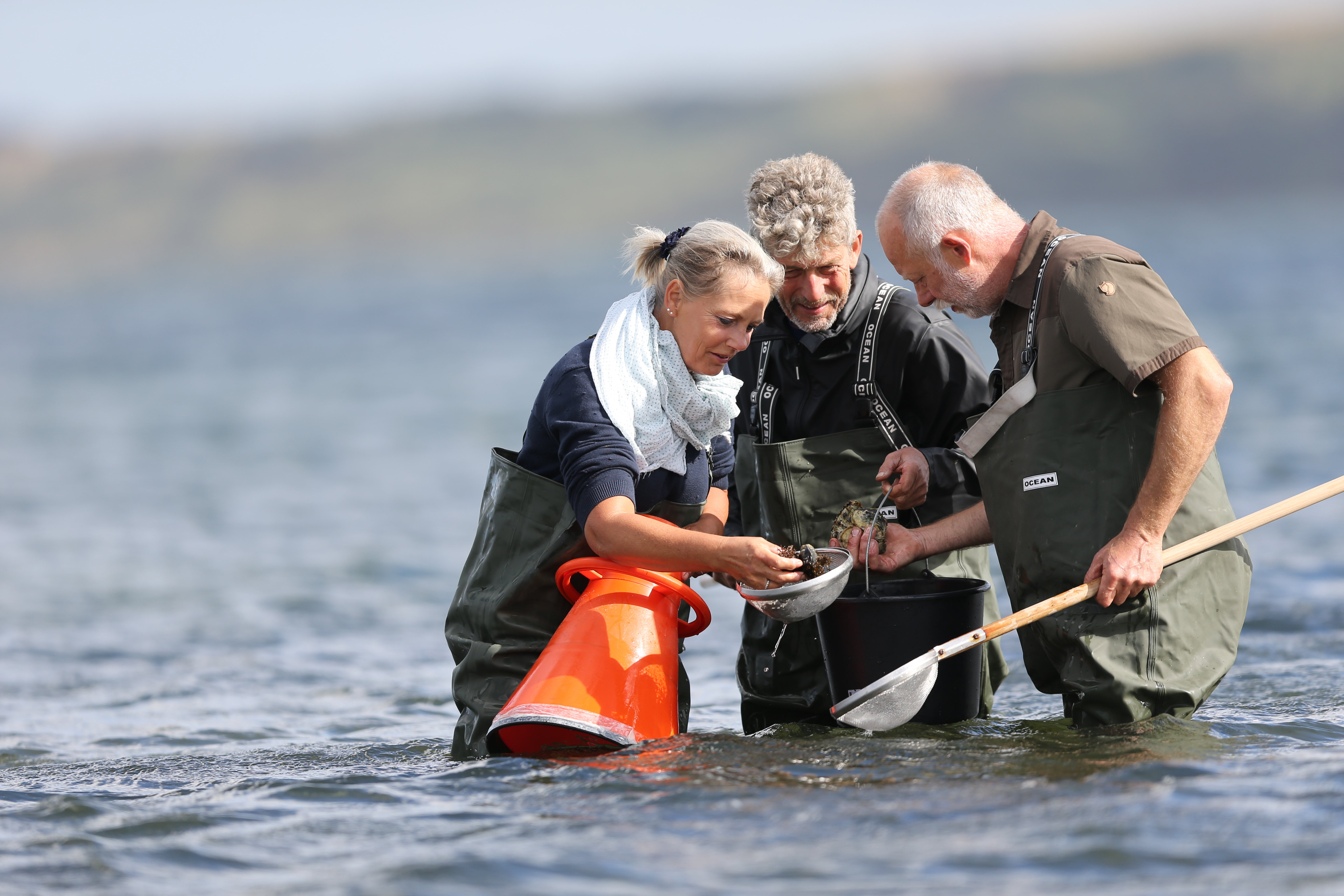Østerssafari i Limfjorden med Jyllandsakvariet