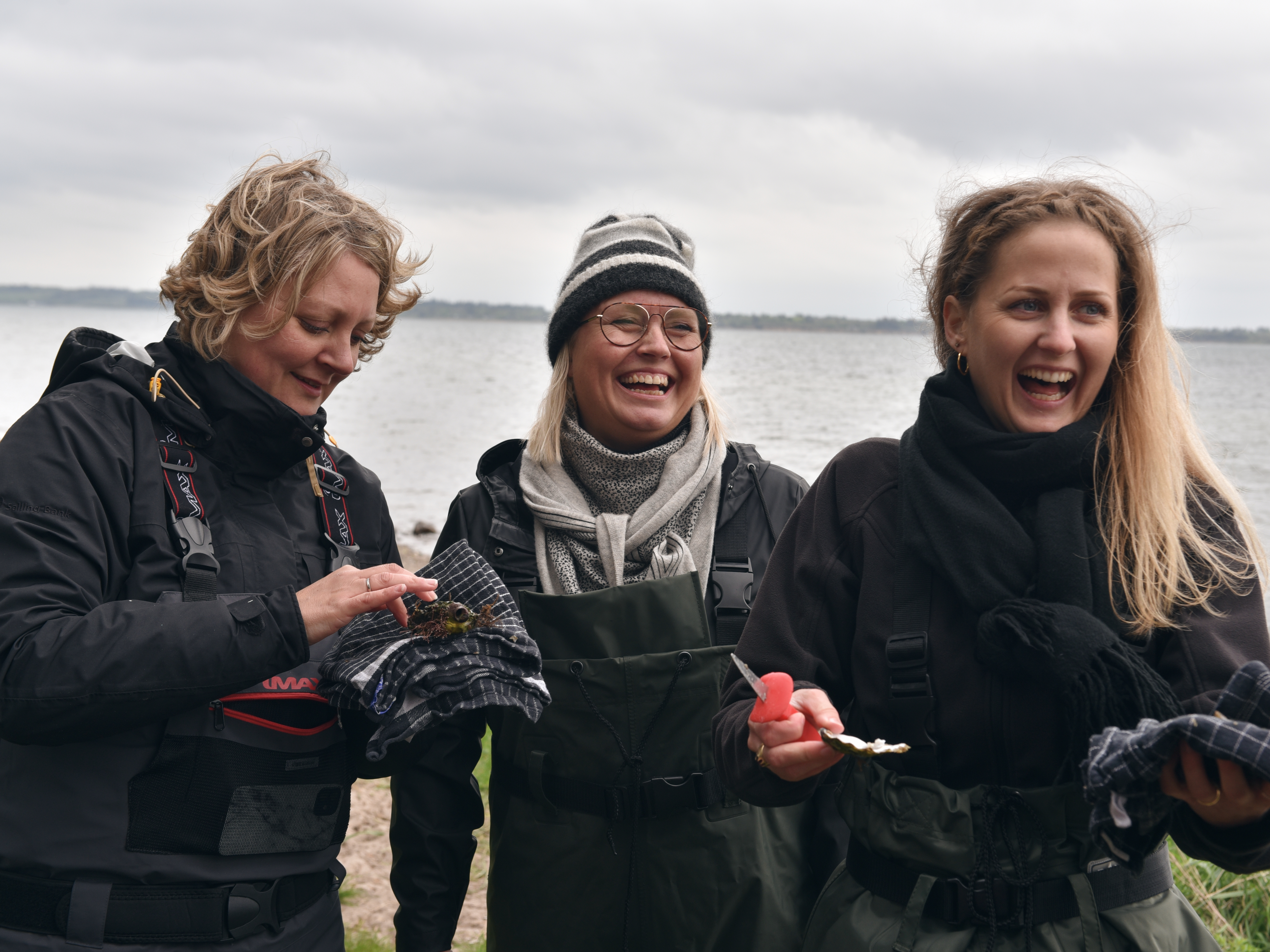 Østerssafari ved Limfjorden