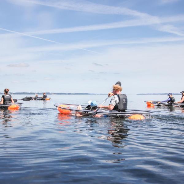 Vision Kayak