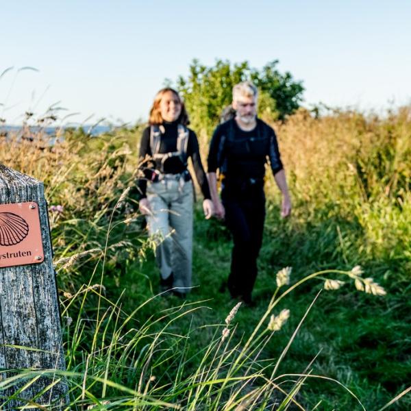 Vandring på Kystruten i den skønne natur på Mors