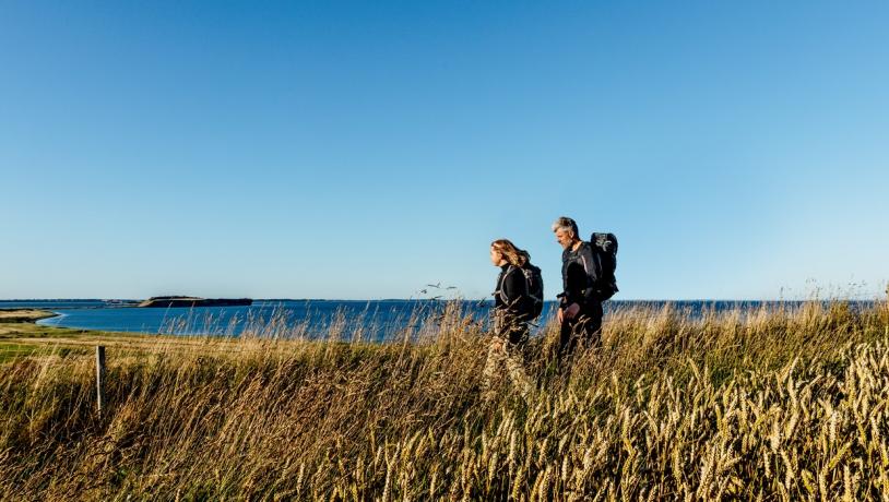 Vandring i den skønne Morsø natur med Limfjorden og Feggesund i baggrunden