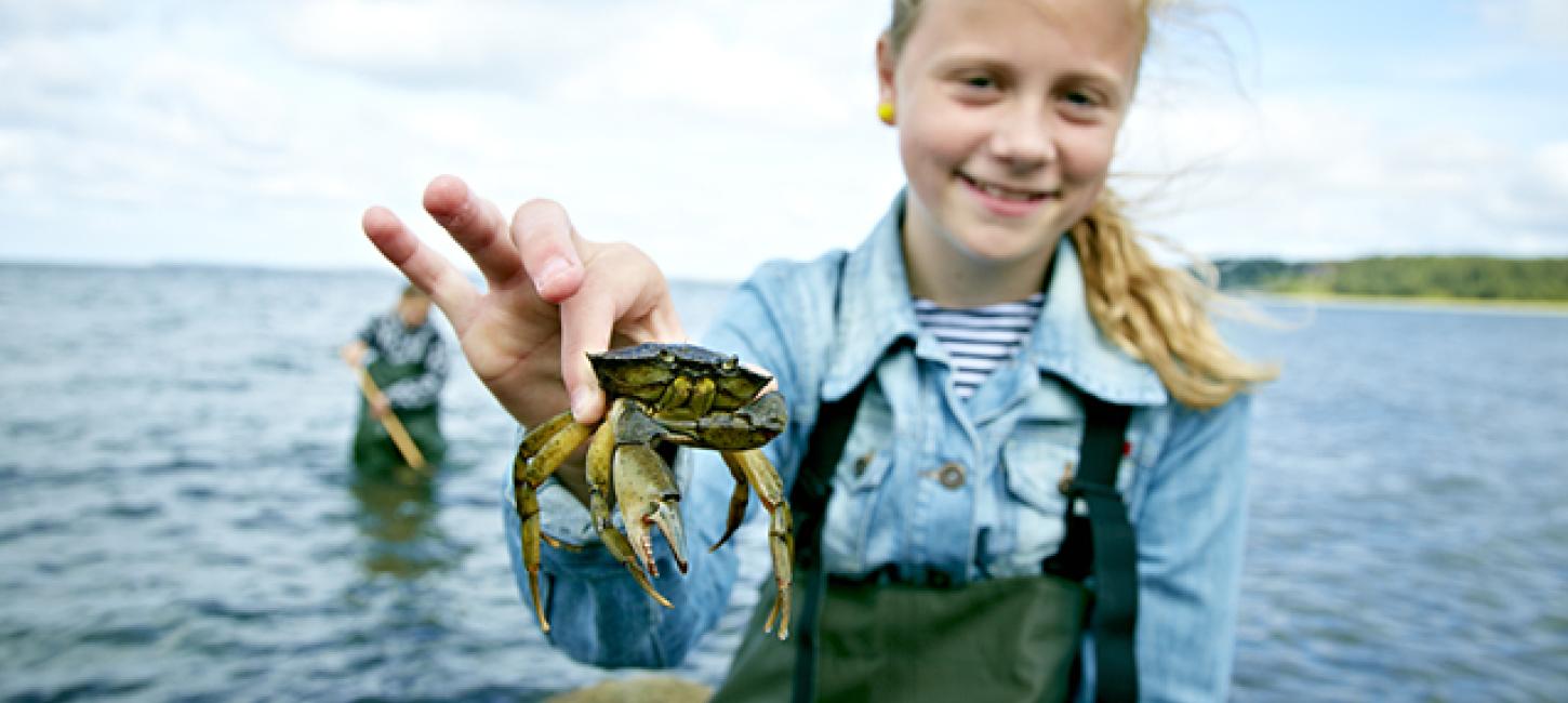 Pige med krabbe Glyngøre