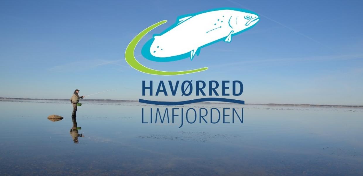 Havørred Limfjorden logo