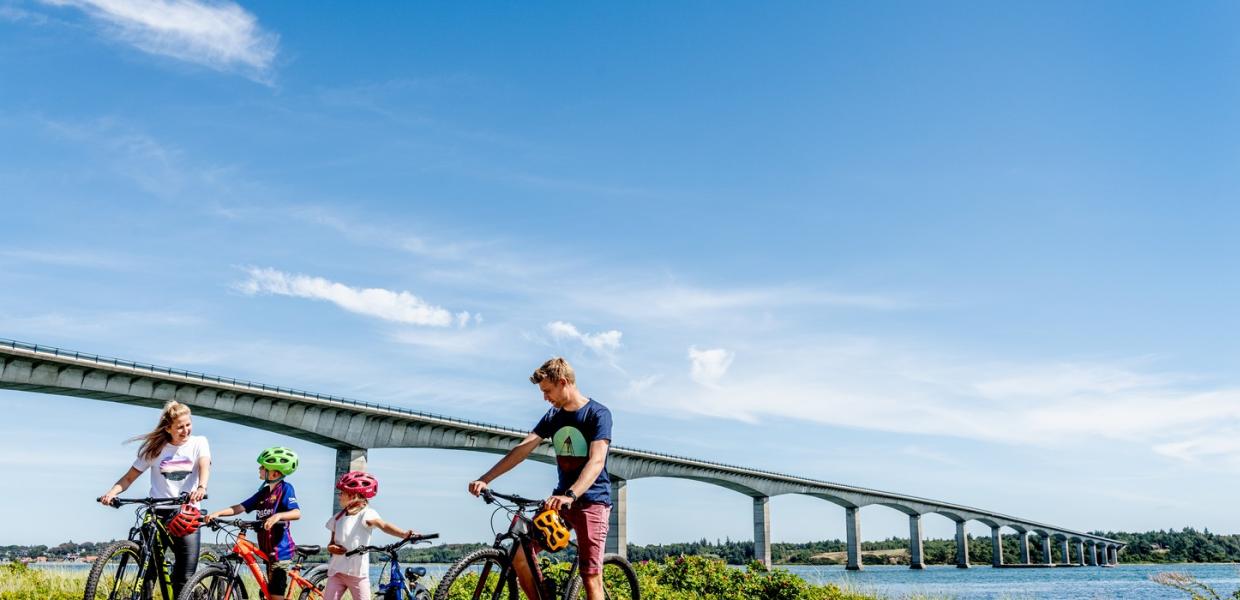 Familie cykeltur på Mors med Limfjorden & Sallingsundbroen i baggrunden