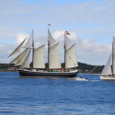 limfjorden rundt