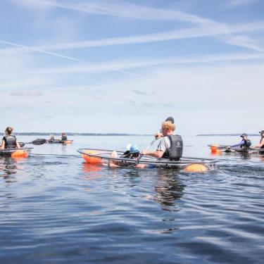 Vision Kayak