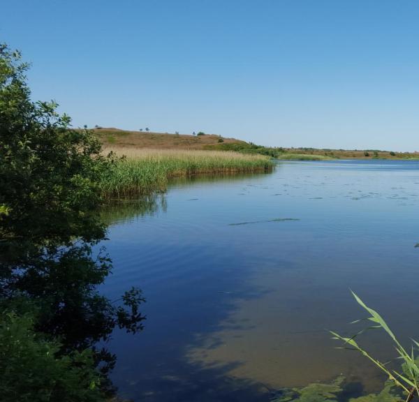 Naturpark Flyndersø