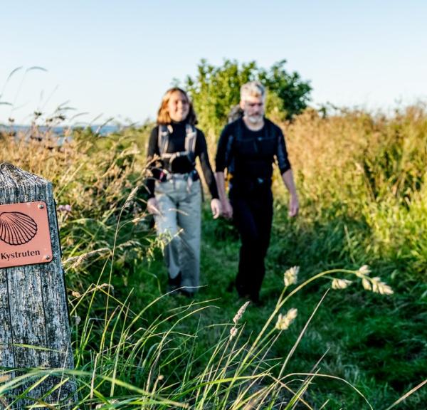 Vandring på Kystruten i den skønne natur på Mors